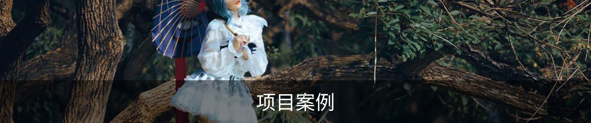 项目案例